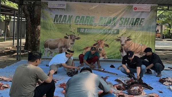 Tiga Sapi “KO” di MaxOne Makassar, Ratusan Warga Langsung Bawa Pulang Daging Kurban