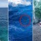 Viral! Siswi SMA Hilang Usai Ombak Menghantam Spot Foto Tebing Apparalang