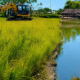 Sawah Produktif Diduga Dikeruk, Warga Melawan, Aparat Jangan Diam!