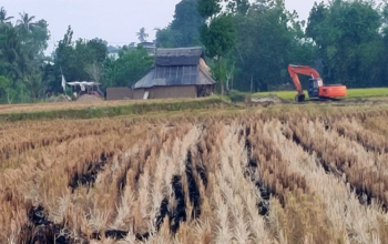 Aktivitas Tambang Diduga Ilegal di Pannyangkalang Disorot, Legalitas Dipertanyakan