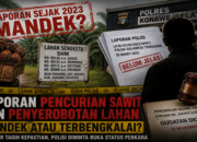 Kasus Pencurian Sawit di Konsel Diduga Mandek, Pelapor Tagih Kepastian Hukum