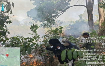Polhut Bergerak Cepat, Api Kebakaran Lahan Lanna Gowa Dipadamkan