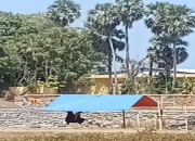 Asal Material Proyek Penimbunan di Pandanga Diminta Diusut, Kapolres Takalar Didesak Turun