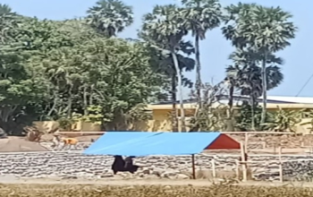 Asal Material Proyek Penimbunan di Pandanga Diminta Diusut, Kapolres Takalar Didesak Turun