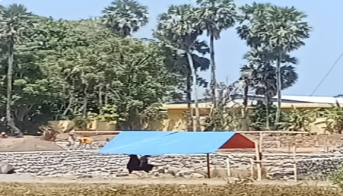 Asal Material Proyek Penimbunan di Pandanga Diminta Diusut, Kapolres Takalar Didesak Turun