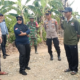 Gilireng dan Maniangpajo Sepakati Batas Wilayah, Administrasi PBB Ikut Dibahas