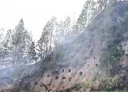 Kebakaran di Baruppu Toraja Utara Hanguskan 3 Hektare Area Pekuburan