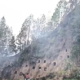 Kebakaran di Baruppu Toraja Utara Hanguskan 3 Hektare Area Pekuburan